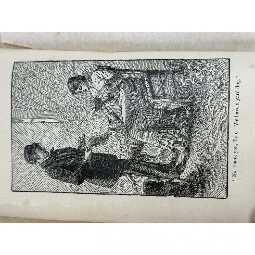Antique The Mill on the Floss George Eliot Belford Clarke & Co Chicago & NY 1885